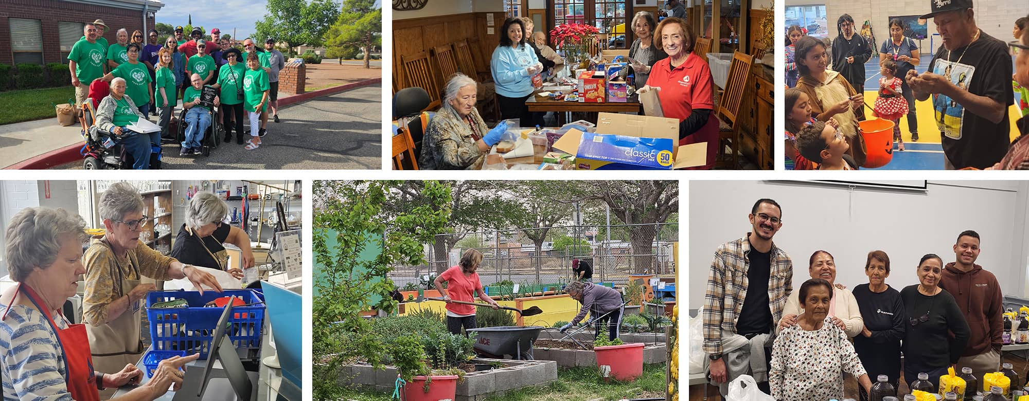 Retired Senior Volunteer Program Collage