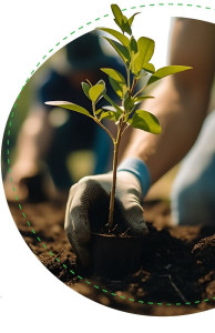 Neighborhood Tree Planting