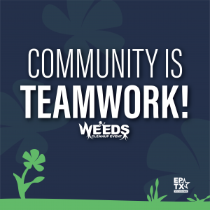 Community is Teamwork, Weeds Cleanup Event